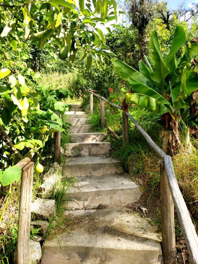 Fundo Wilppani Limatambo Exterior photo